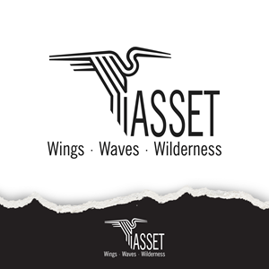 Logo Design by Desiok