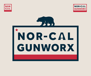 Logo Design by Rob C Design for DAVIS GUNWORX | Design: #31618704