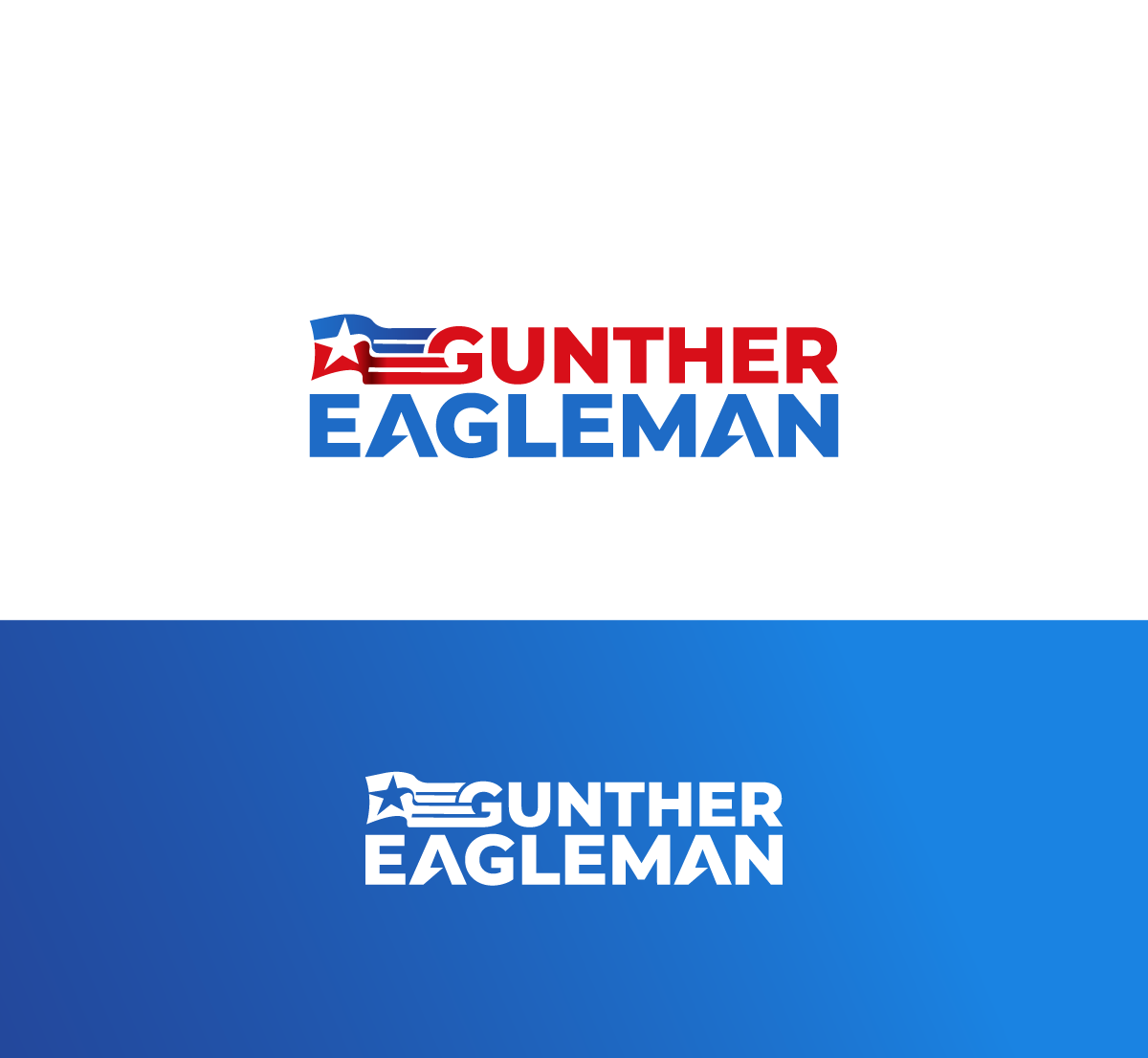 Logo Design by anico for this project | Design #31604971