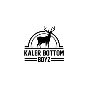 Logo Design by Ansh Design for this project | Design: #31602668