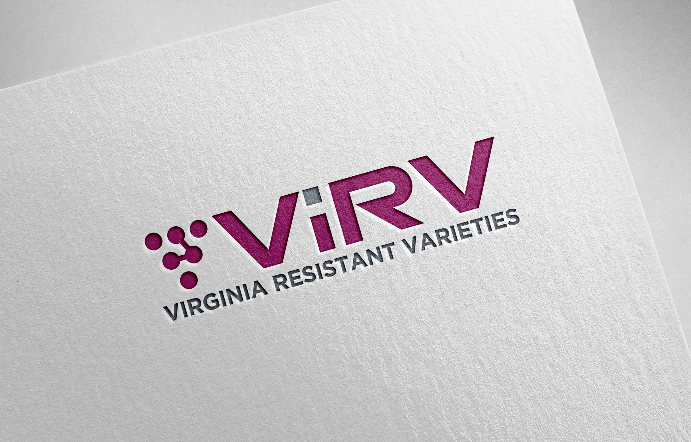 Logo Design by Goodpartner for this project | Design #31607380