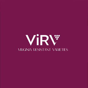 Logo Design by Sampath m