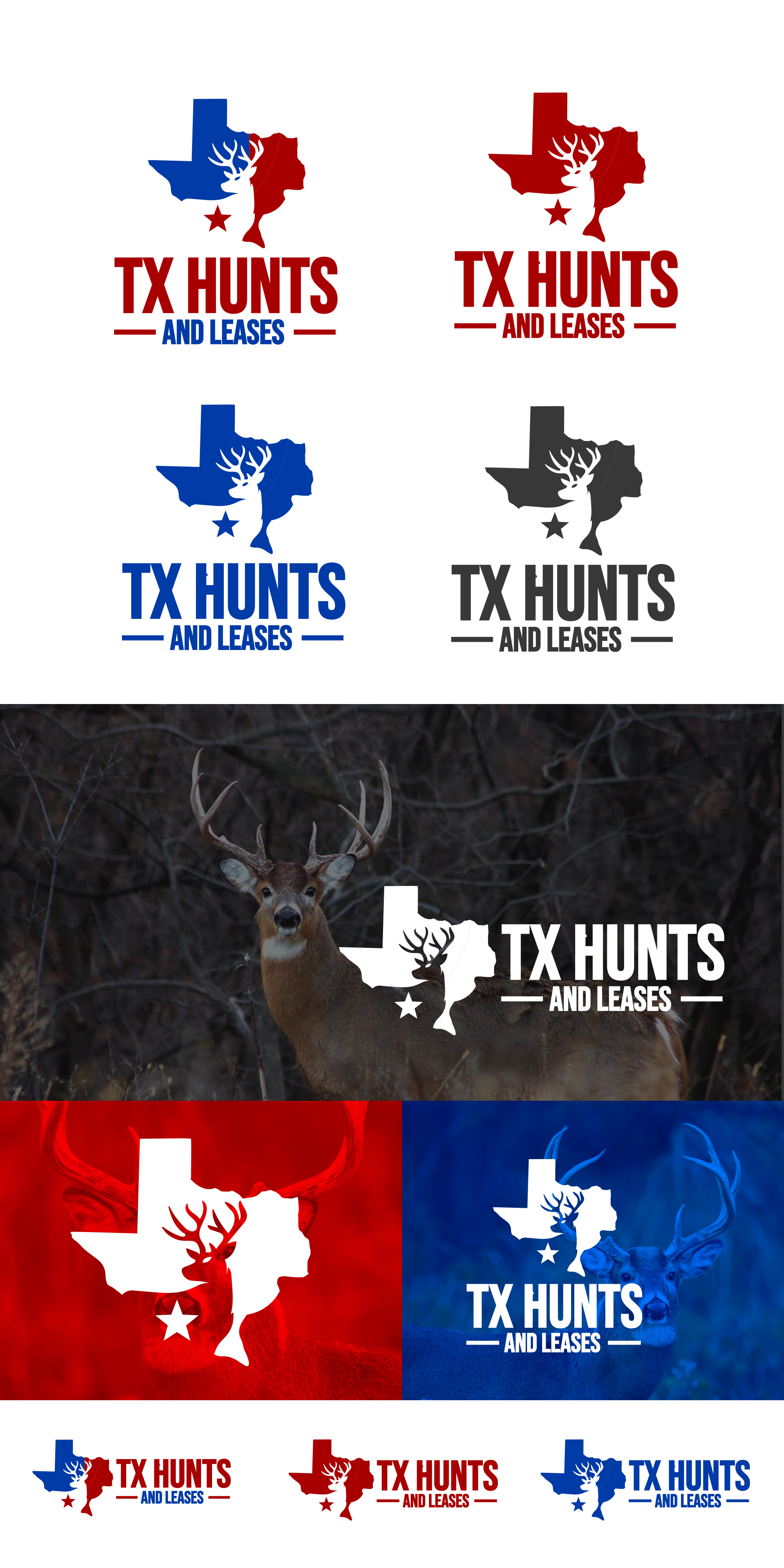 Logo Design by DSCMedia™ for this project | Design #31618392