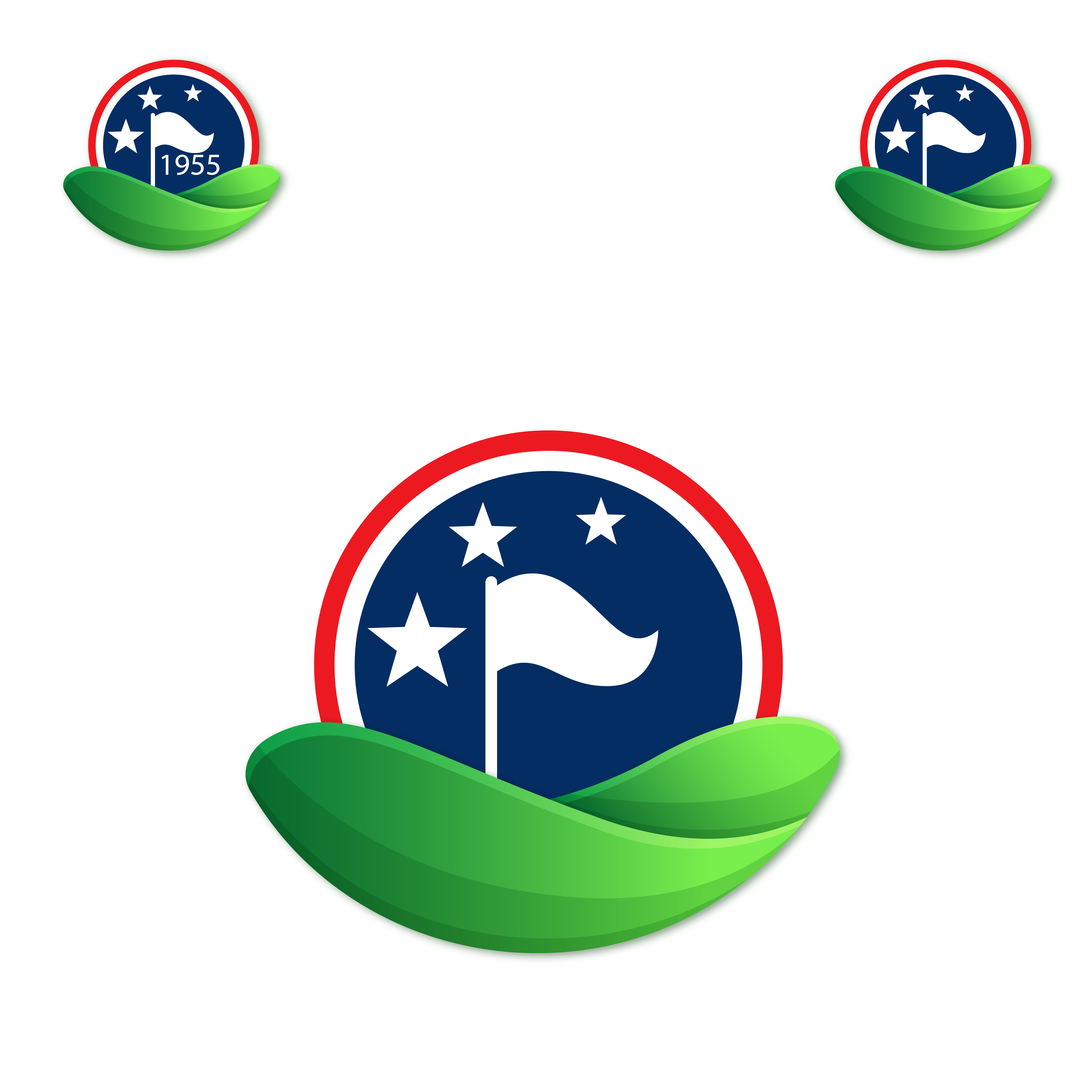 Logo Design by WholeBranding® for this project | Design #31652875