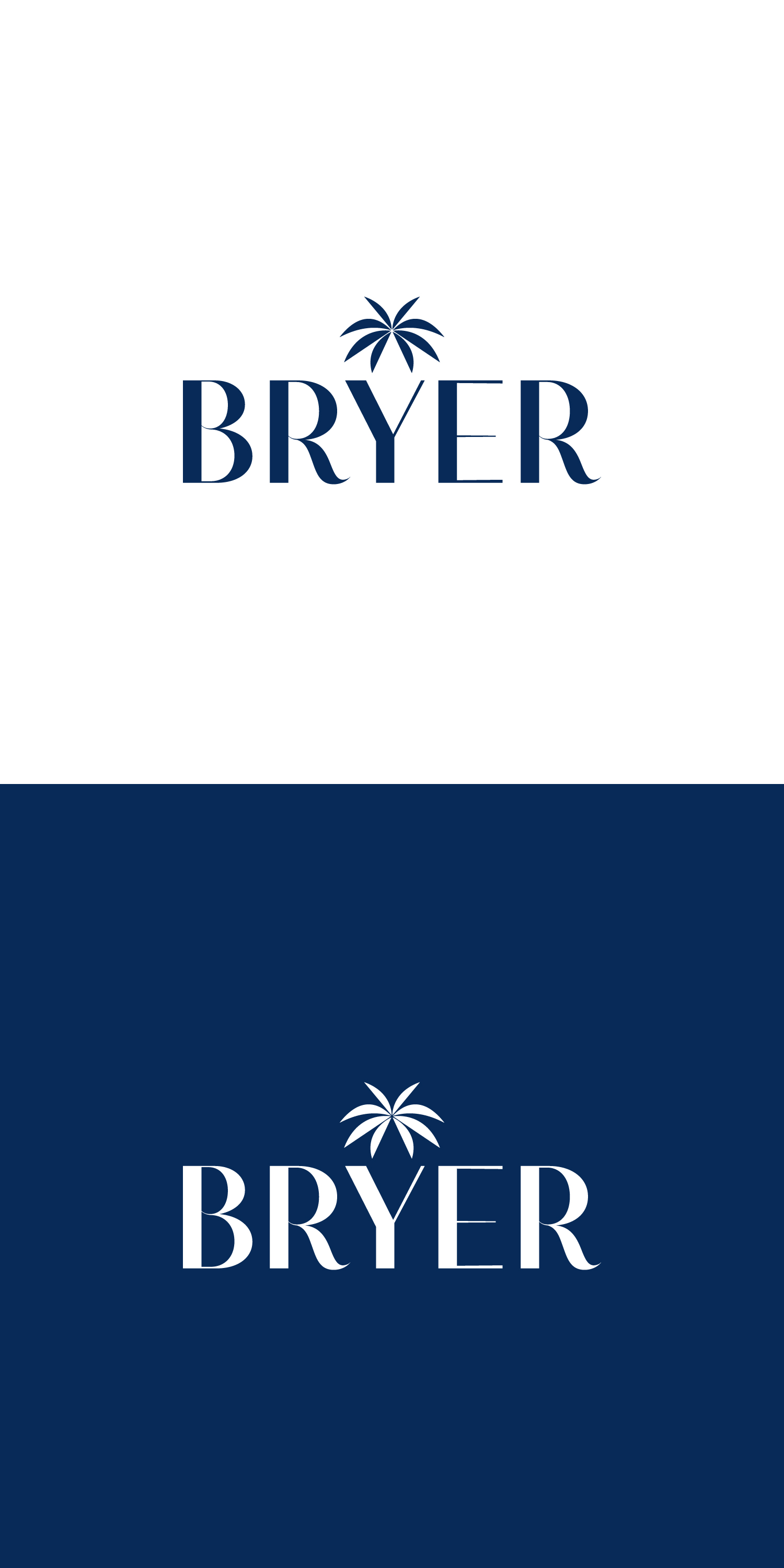 Design de Logo par anshtoyj pour Bryer Property Solutions LLC | Design #31628940