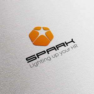 Logo Design by Roman Designs