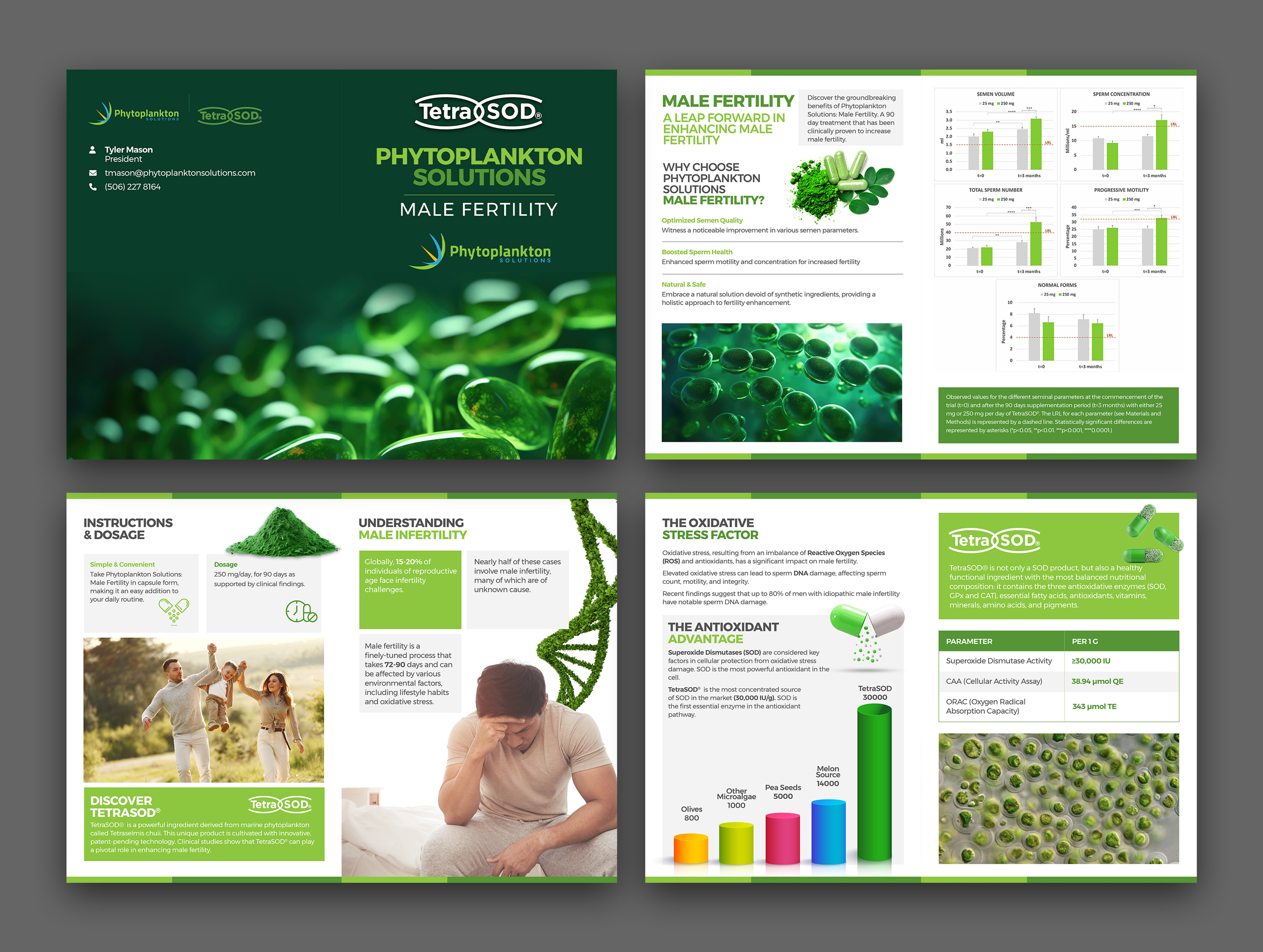 Flyer-Design von Graphic Guy für dieses Projekt | Design #31639736