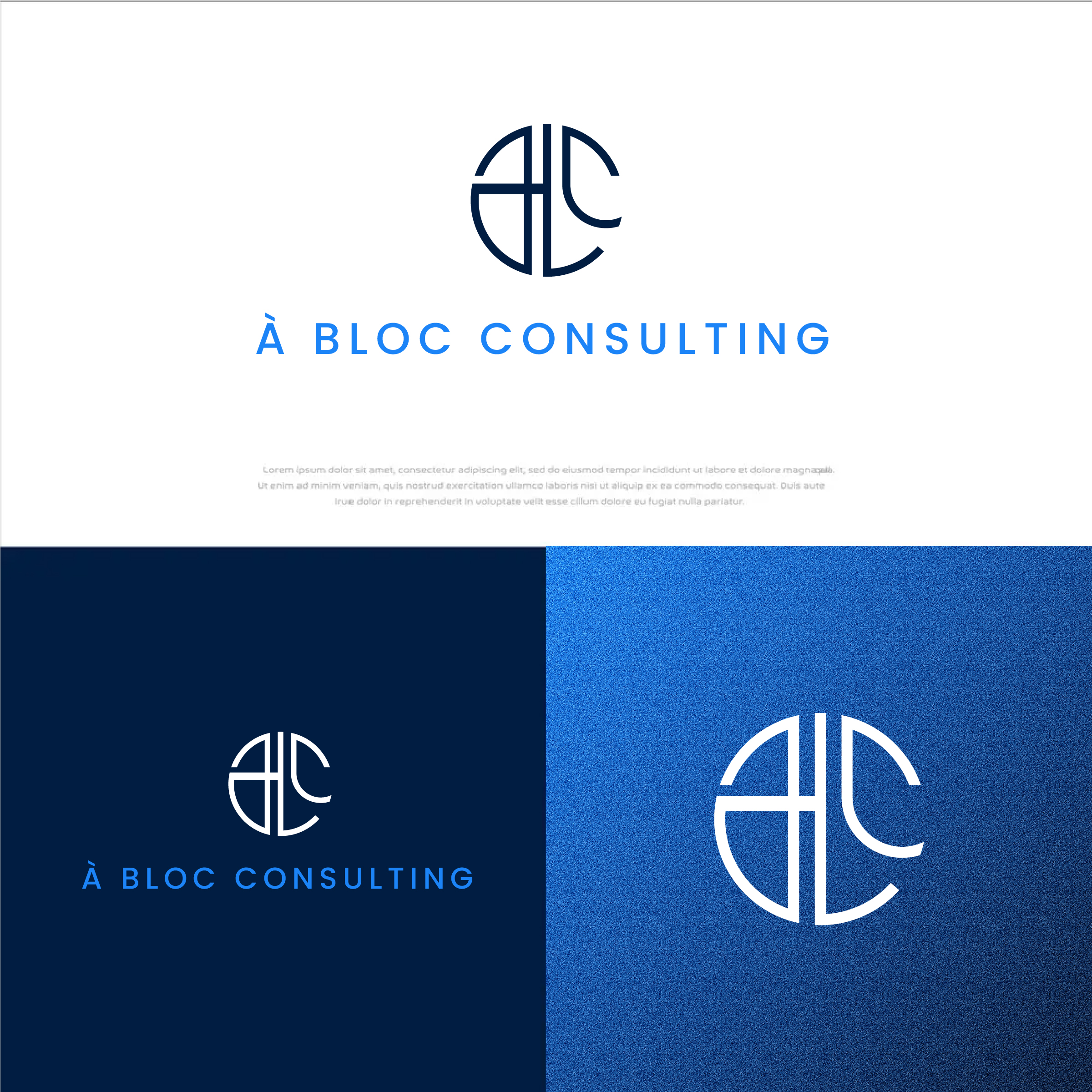 Logo Design by JebaF for this project | Design #31644082