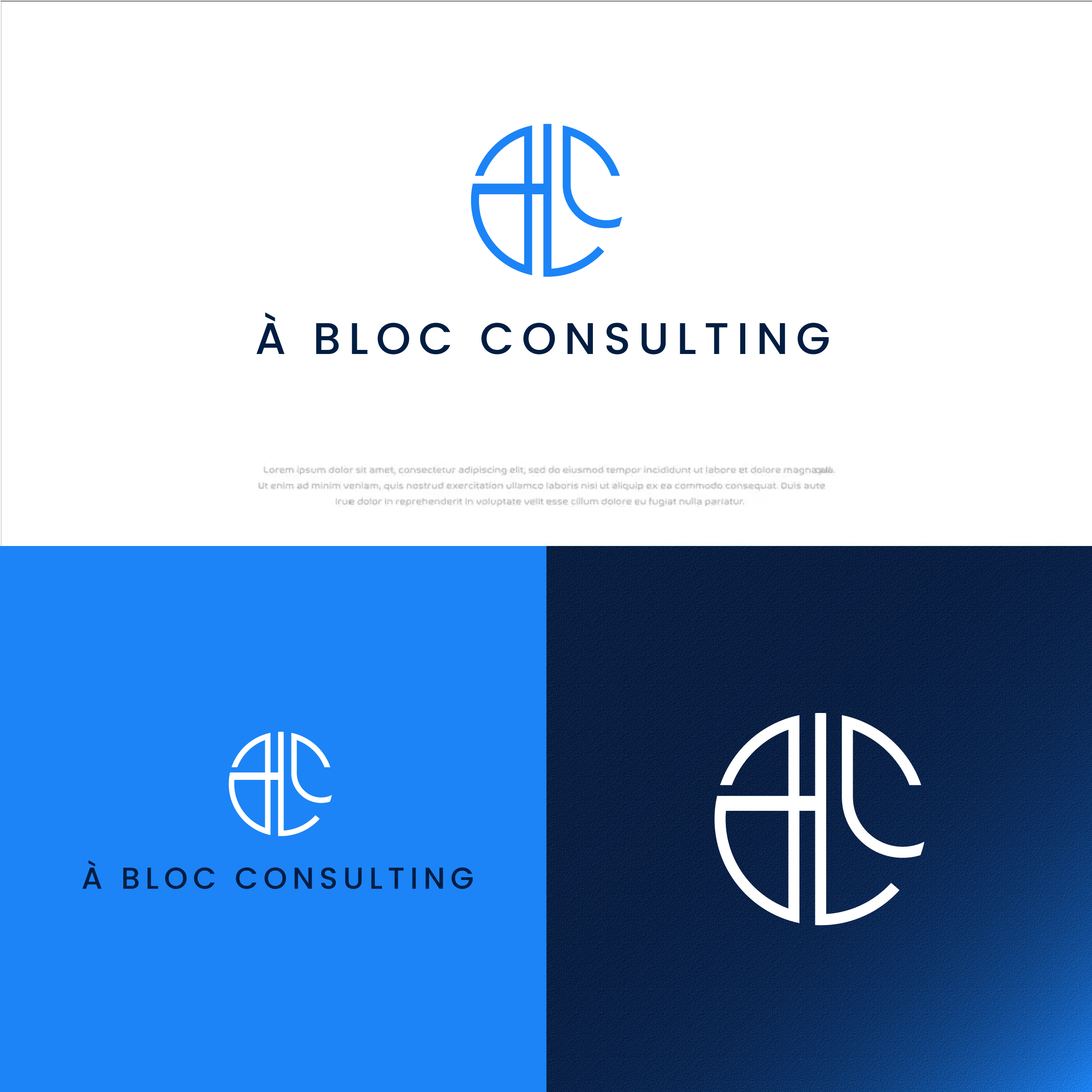 Logo Design by JebaF for this project | Design #31644083