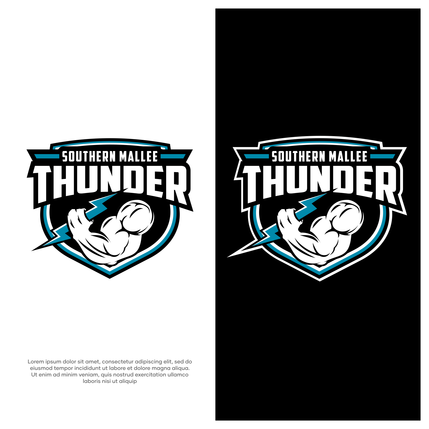 Diseño de Logo por ThiagoB para este proyecto | Diseño #31641905