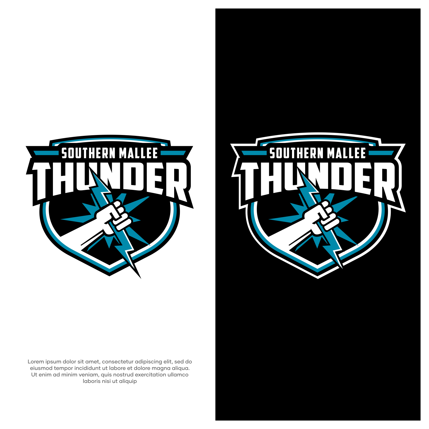 Logo-Design von ThiagoB für dieses Projekt | Design #31648152