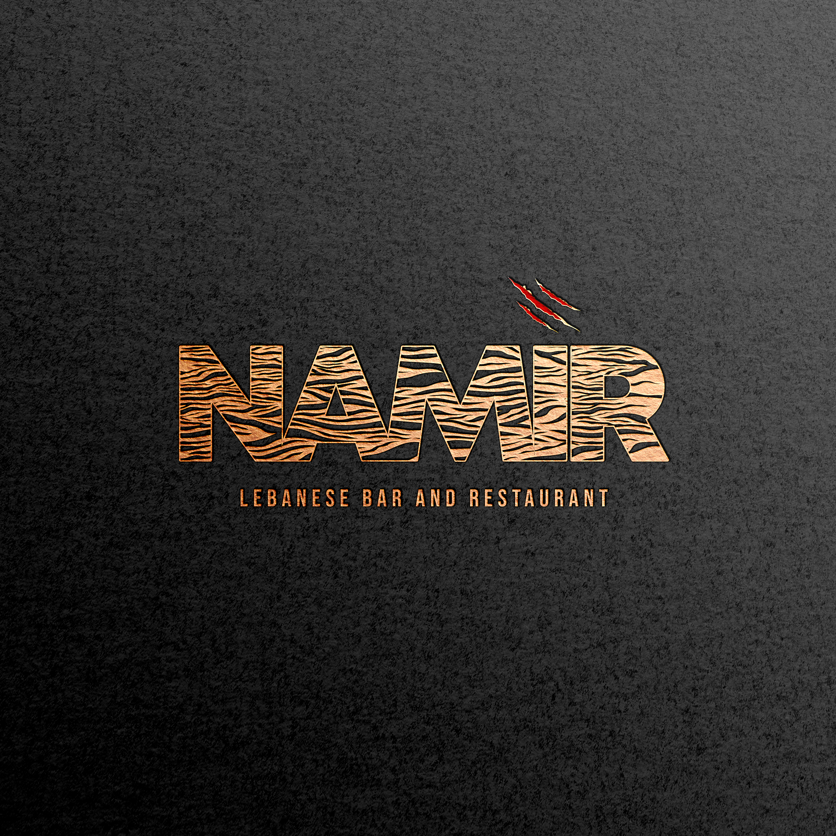 Diseño de Logo por Roman Designs para este proyecto | Diseño #31702138