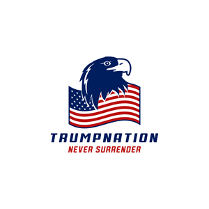 Logo-Design von Ansh Design für dieses Projekt | Design: #31657158