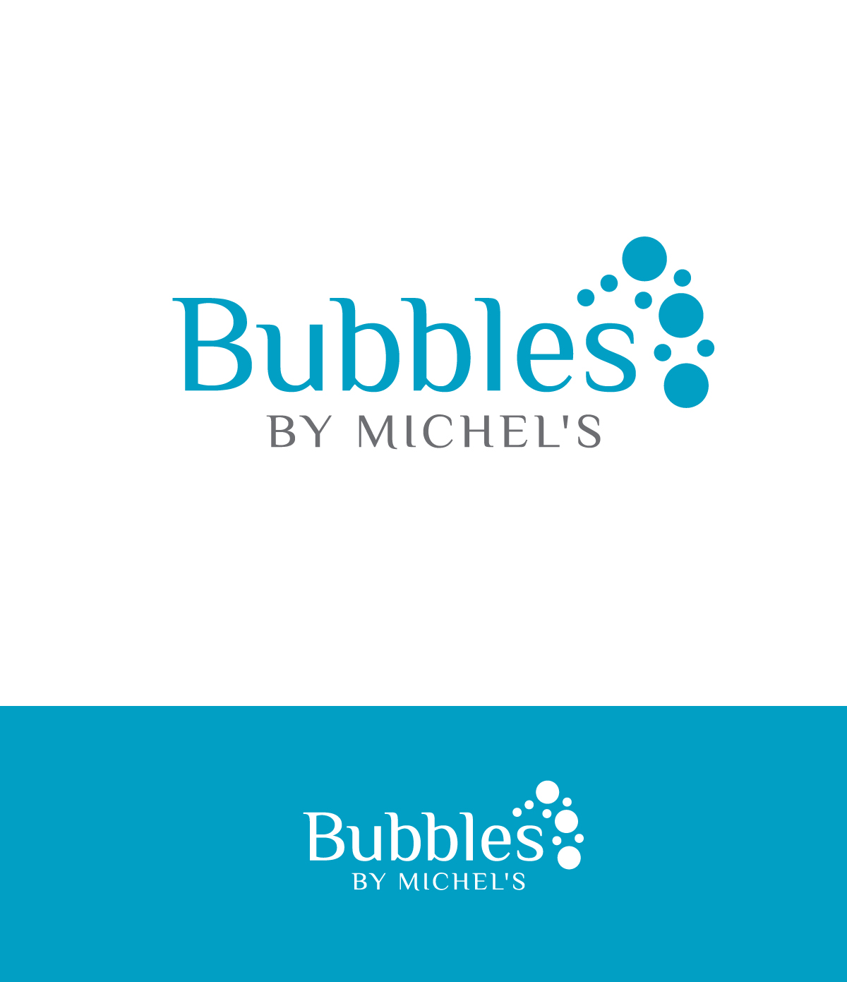 Logo Design by apik. for Michel's Dry Cleaners | Design #31662190