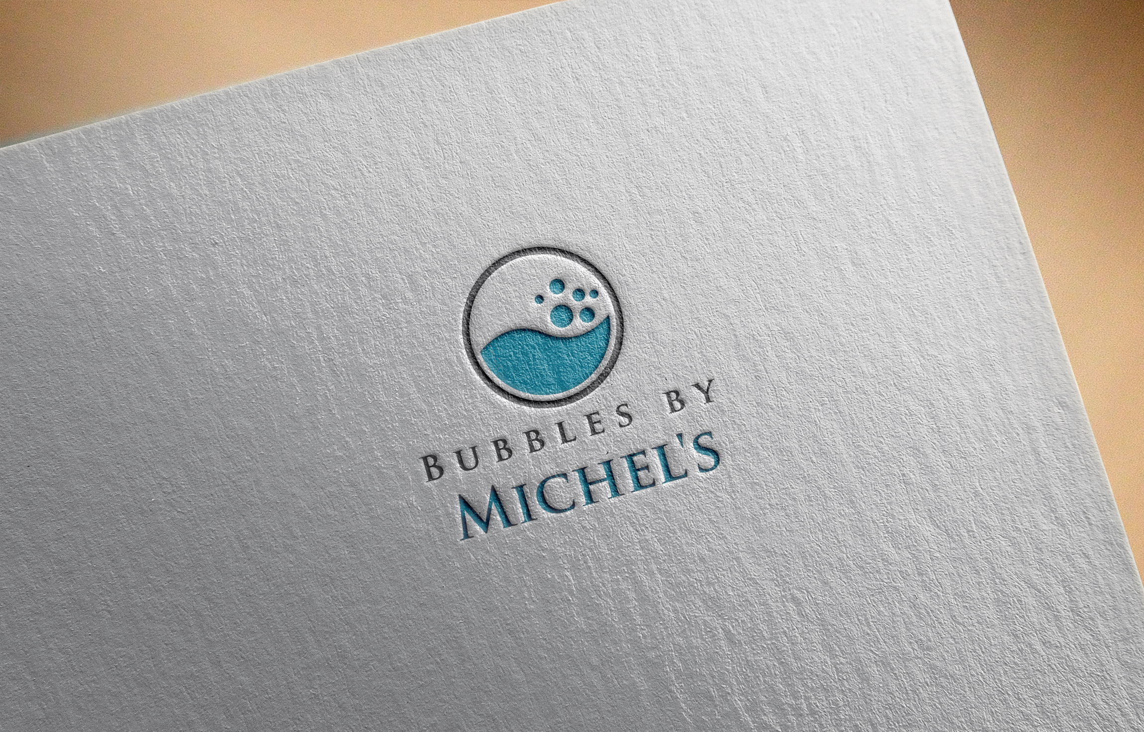 Logo Design by Lioness Designs for Michel's Dry Cleaners | Design #31654593