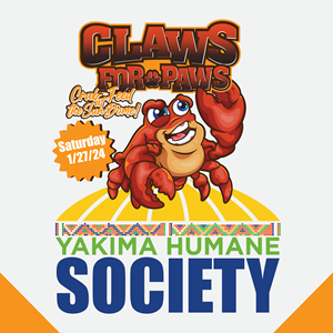 Logo Design by AndySuseno