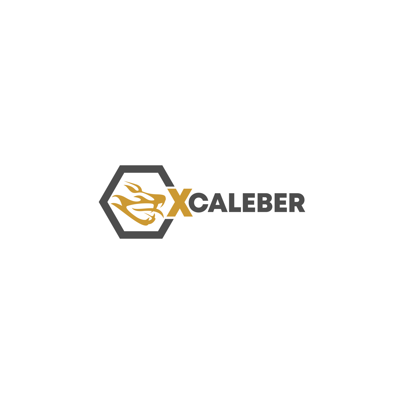 Logo Design by Arham Hidayat for this project | Design #31694661