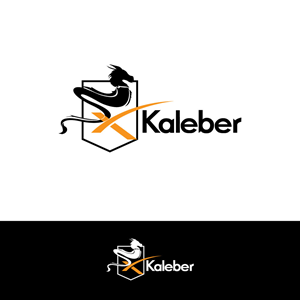 Logo Design by Ansh Design for this project | Design: #31671408