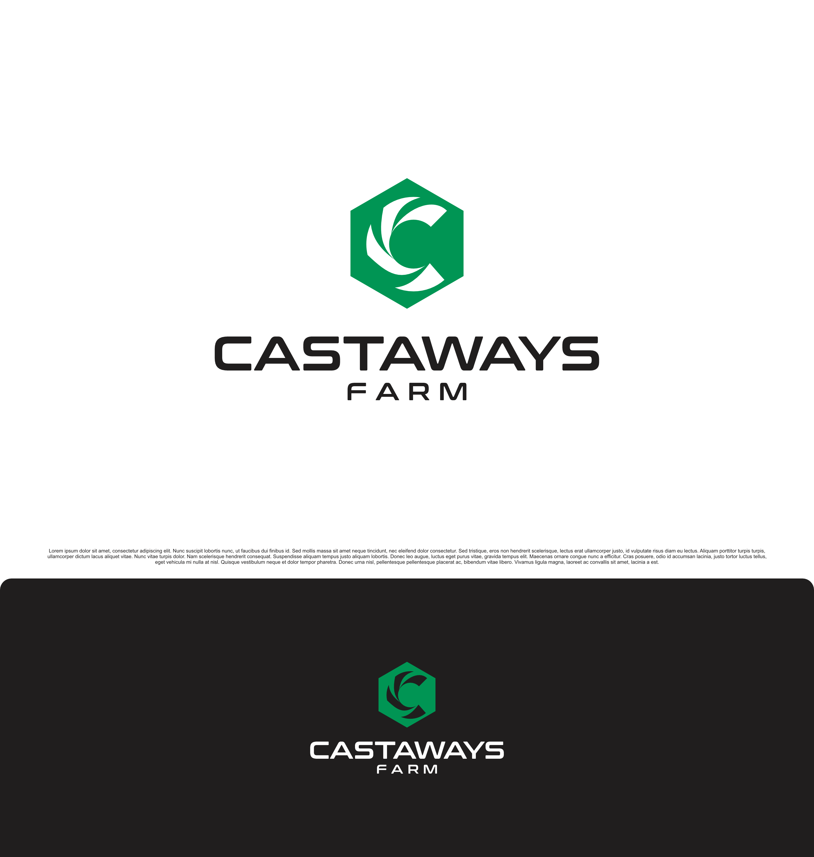 Logo Design by saesean for this project | Design #31702728