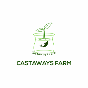 Logo Design by Dita afiyanti