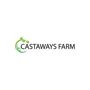 Logo Design by The Vectorize 