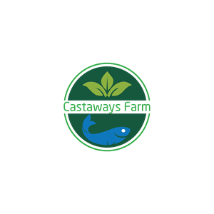 Logo Design by Chowdhury Fateha Elahi 2023