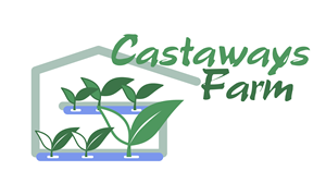 Logo Design by ben L.