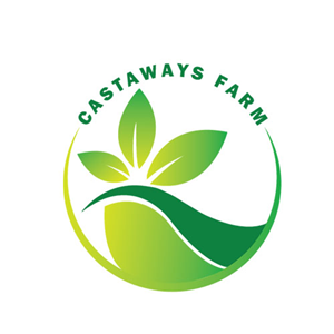 Logo Design by Adeel Rahman