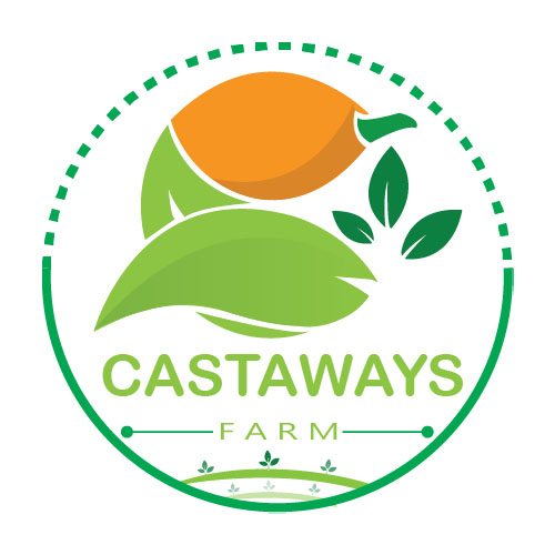 Logo Design by Adeel Rahman for this project | Design #31702374