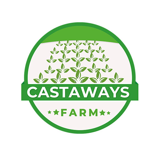 Diseño de Logo por Adeel Rahman para este proyecto | Diseño #31702833