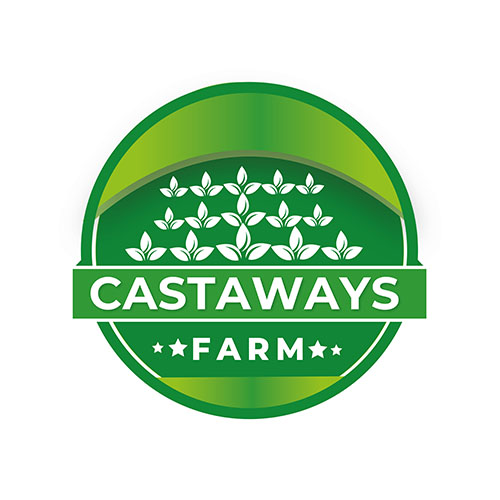 Logo Design by Adeel Rahman for this project | Design #31703851