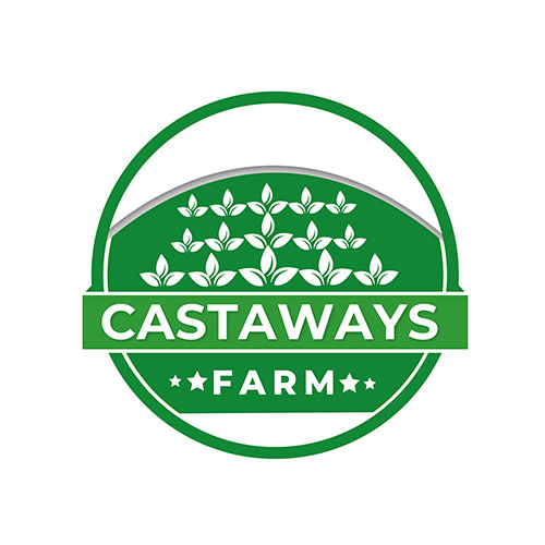 Diseño de Logo por Adeel Rahman para este proyecto | Diseño #31704030