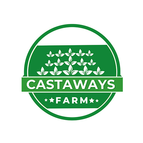 Diseño de Logo por Adeel Rahman para este proyecto | Diseño #31704031