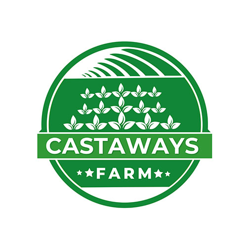 Diseño de Logo por Adeel Rahman para este proyecto | Diseño #31704318