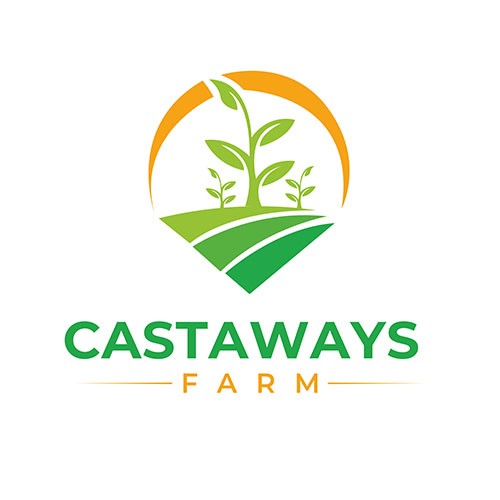 Logo Design by Adeel Rahman for this project | Design #31709374