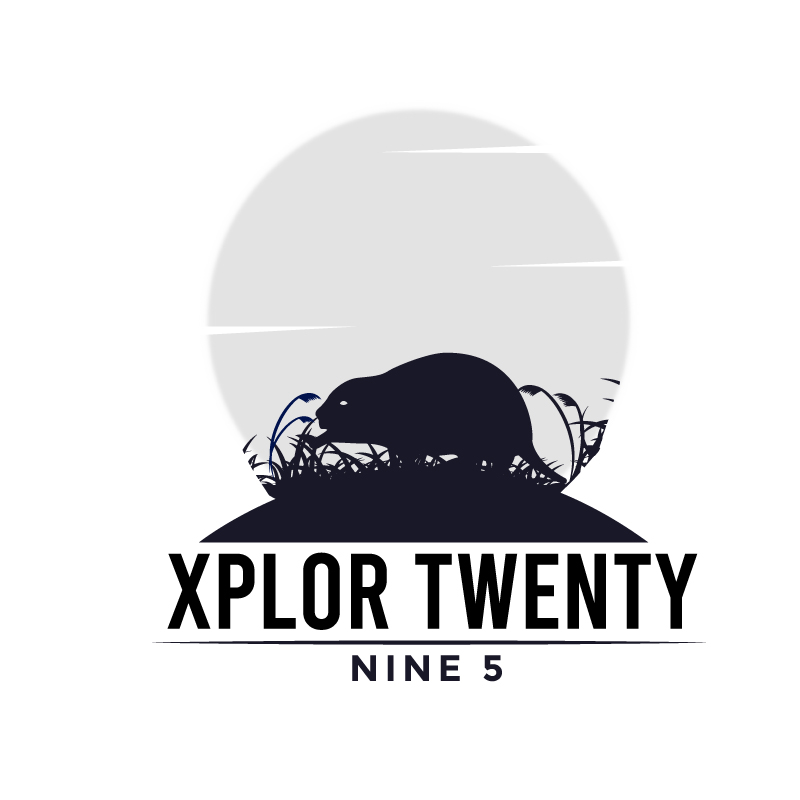Logo Design by Twig Creation for Twenty Nine Five Apparel | Design #31694134