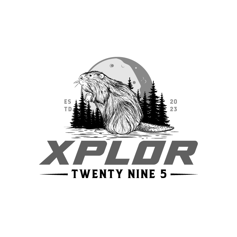 Logo Design by Twig Creation for Twenty Nine Five Apparel | Design #31694135