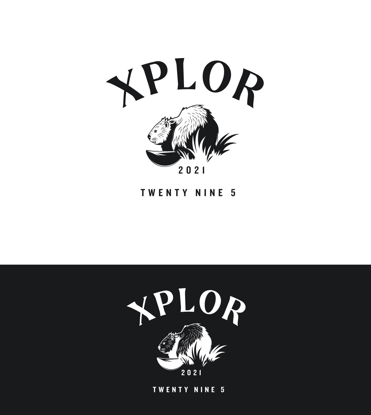 Logo Design by SolDesign for Twenty Nine Five Apparel | Design #31707541