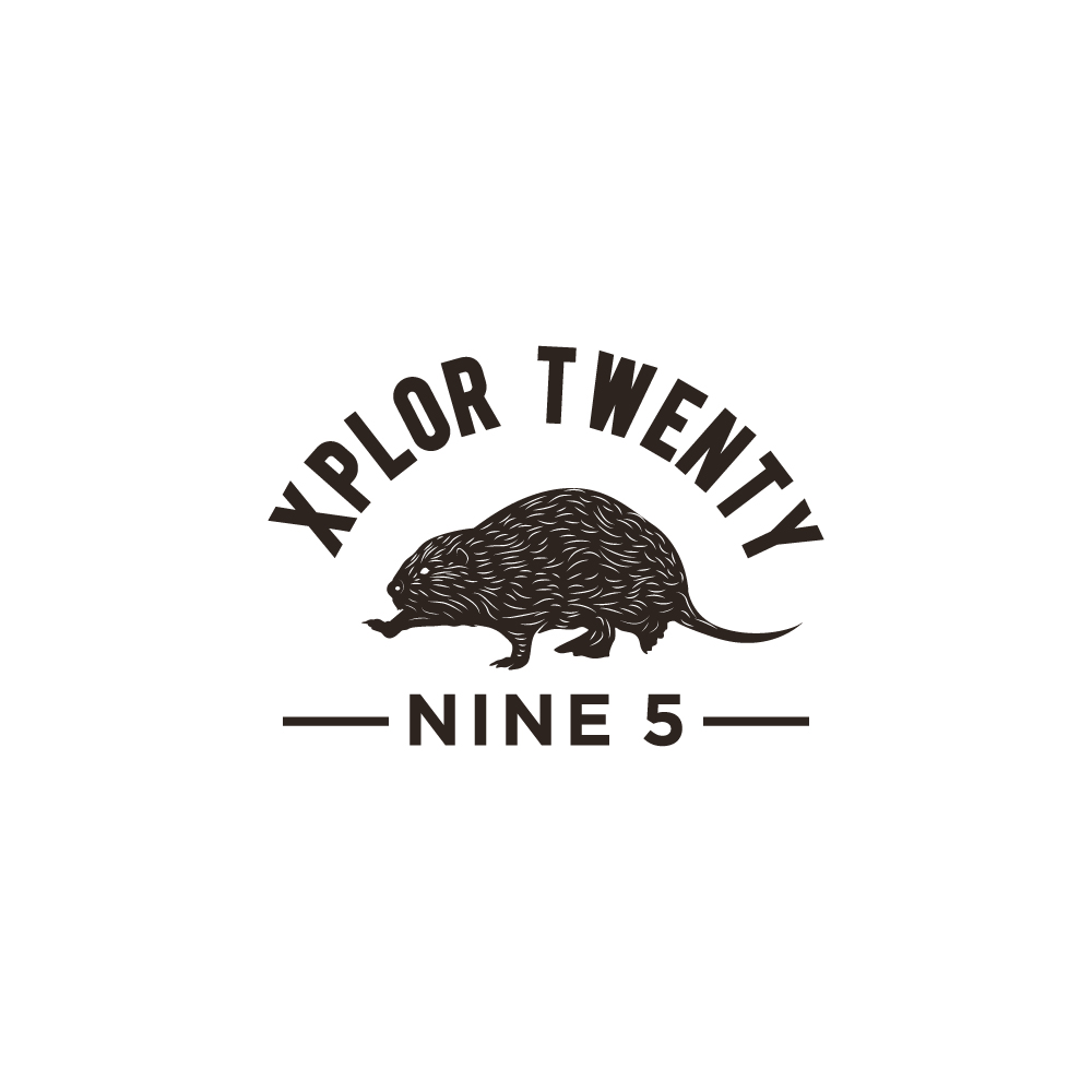 Logo Design by Ansh Design for Twenty Nine Five Apparel | Design #31687201