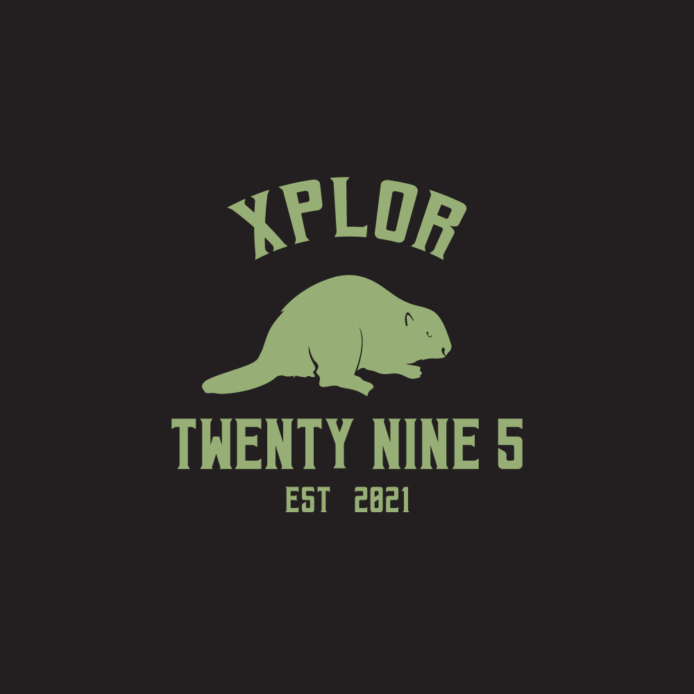 Logo Design by Ansh Design for Twenty Nine Five Apparel | Design #31687203