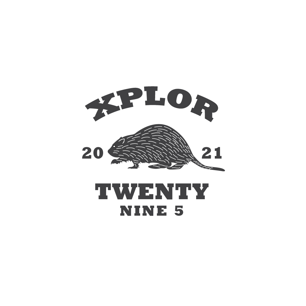Logo Design by Ansh Design for Twenty Nine Five Apparel | Design #31687204