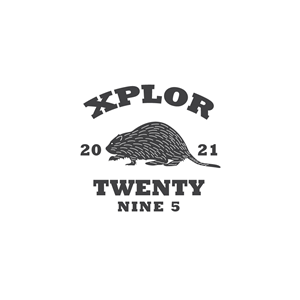 Logo Design by Ansh Design for Twenty Nine Five Apparel | Design: #31687204