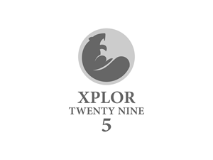 Logo Design by BNdesigner for Twenty Nine Five Apparel | Design: #31694890