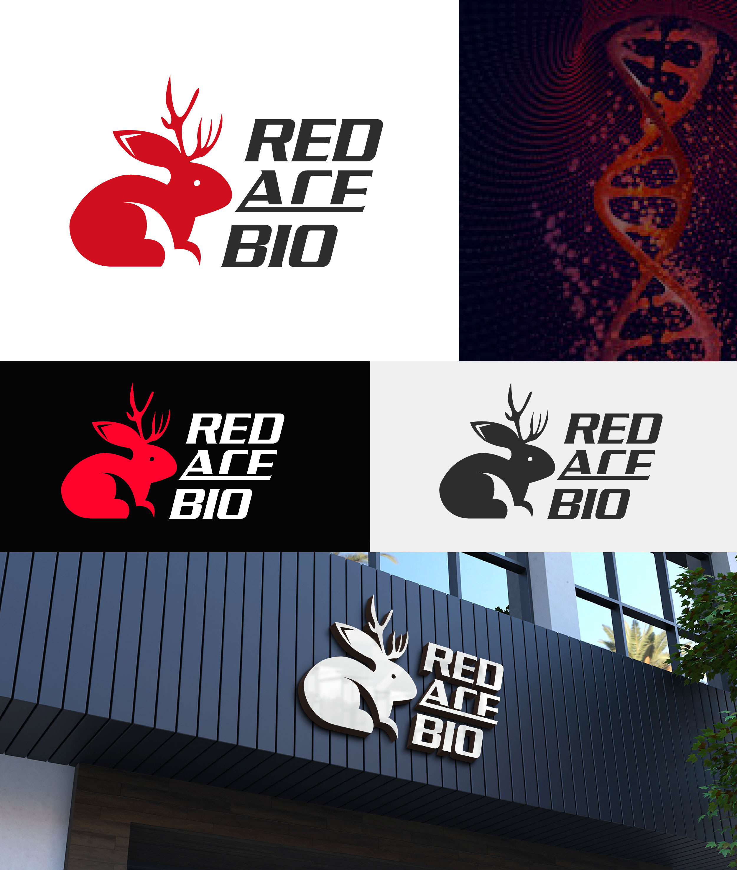 Logo Design by Design Athics for this project | Design #31689448