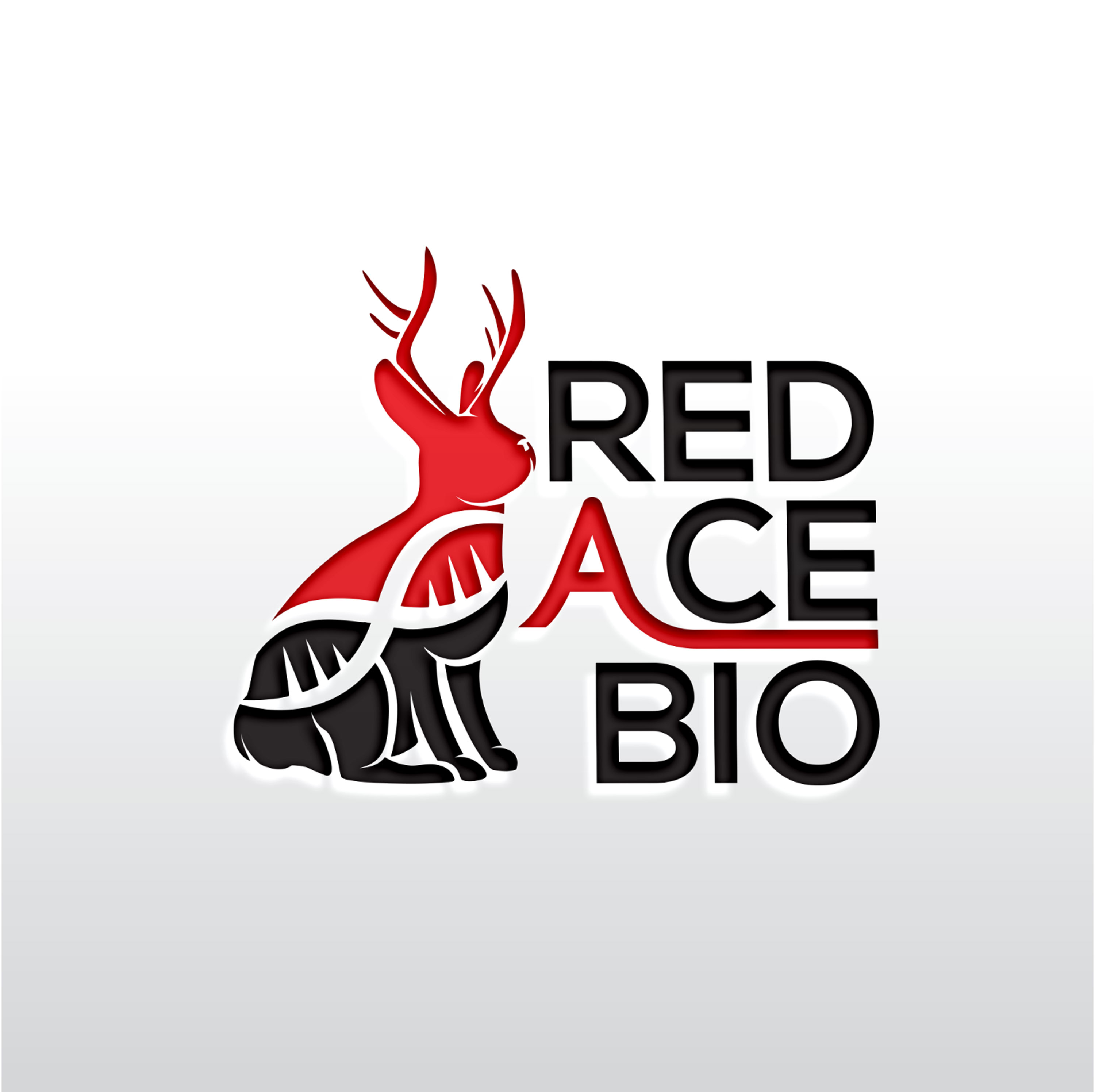 Logo Design by MD ROKON UDDIN for this project | Design: #31723682