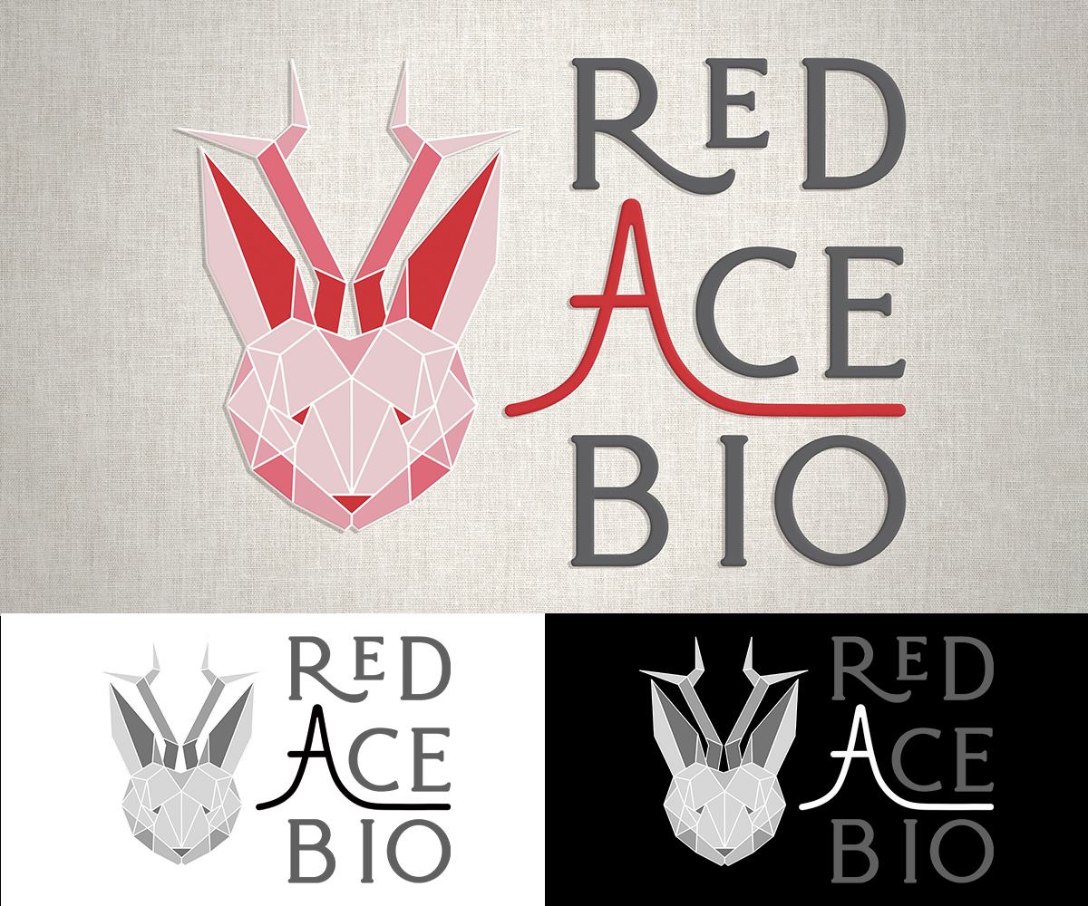Logo Design by Zonda Studio for this project | Design #31707623