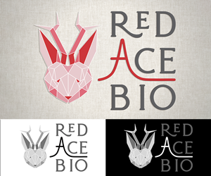 Logo Design by Zonda Studio for this project | Design: #31707623