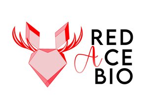 Logo Design by Krold IT Solutions for this project | Design: #31699194