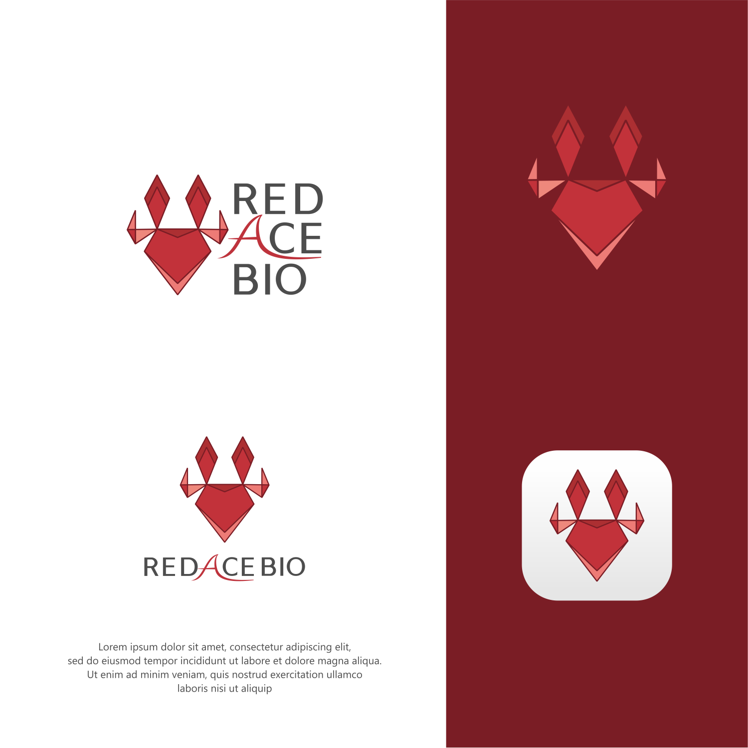 Logo Design by ThiagoB for this project | Design #31689963