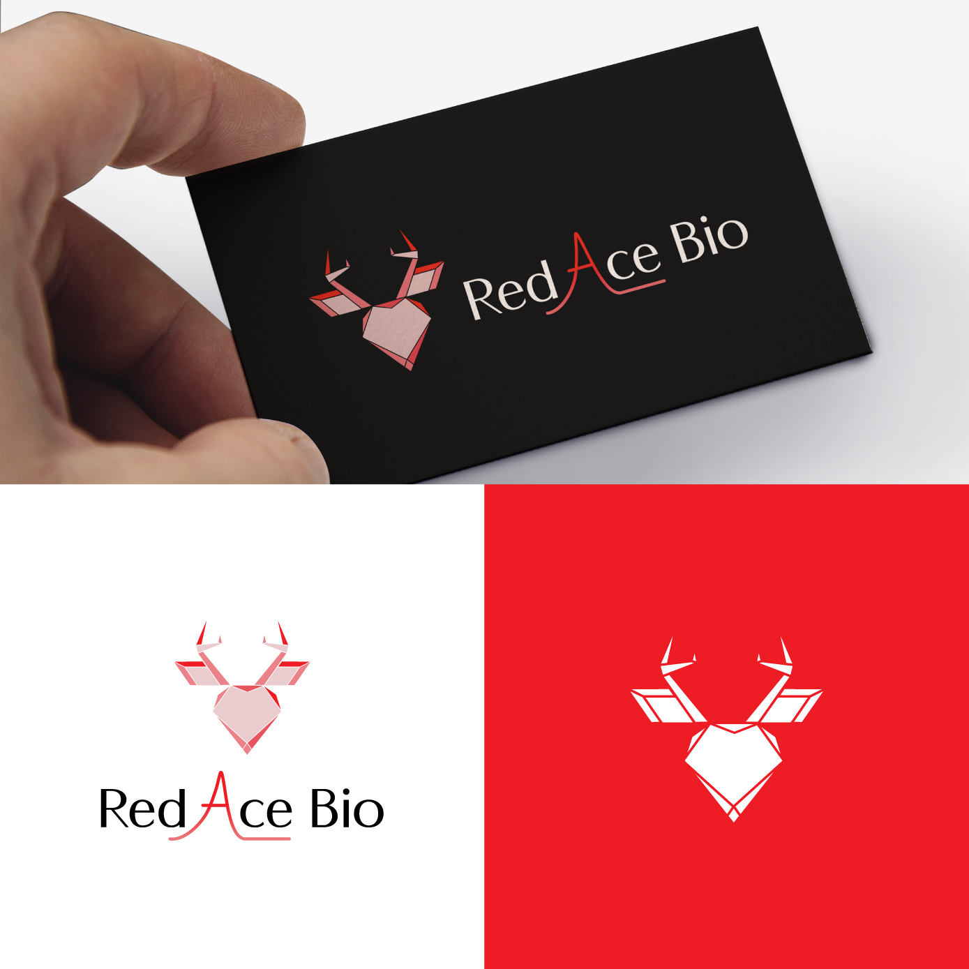 Logo Design by Radsky17 for this project | Design #31694165